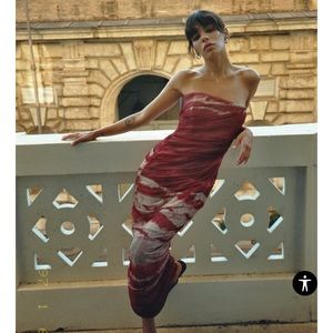 COPY - ZARA Printed Strapless Midi Dress